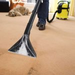 cleaning the carpet with a vacuum cleaner