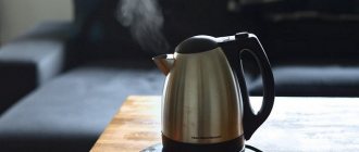 What is more economical - a thermopot or an electric kettle: differences and reviews
