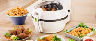 How it works and how to choose an air fryer for your home