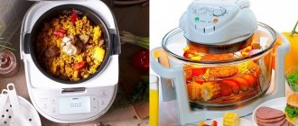 Differences between a multicooker and an air fryer