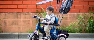 Rating of the best tricycles with handles for parents 2020-2021
