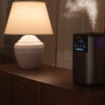 Humidifier with touch control