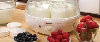 Why is a yogurt maker needed and how does it work: functions, instructions for use